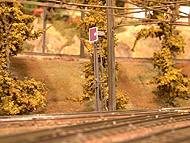 02-16