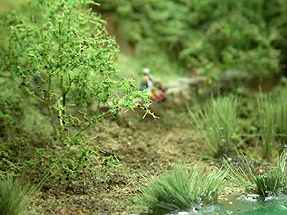photo35