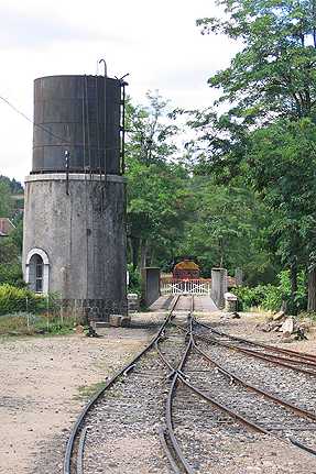 photo081