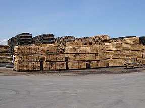 photo02