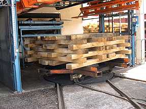 photo10